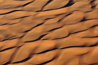 Africa, Namibia, Sand dunes of Sossusvlei, Sossusvlei, Namibia, Africa