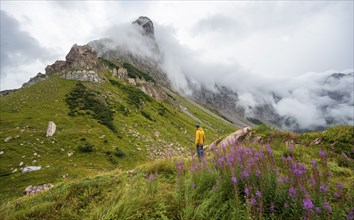 Green meadows and pink flowers in a cloudy mountain landscape, mountaineer with yellow jacket,