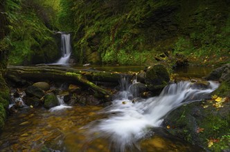 Geroldsau waterfall in autumn, River Grobbach, Geroldsau, Baden-Baden, Northern Black Forest,