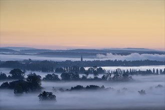 Early morning fog over the Radolfzeller Aachried, behind it Lake Constance with the town of