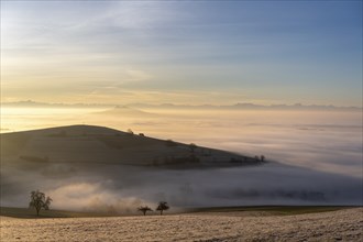 View from the old post road near Leipferdingen into the wintry and fog-covered Hegaulandschaft