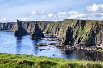 Rugged coastal landscape with the Duncansby Stacks on the coast of Duncansby Head, County