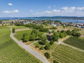 Aerial view of the Hochwart vantage point and vineyard on the island of Reichenau, Constance