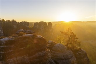 Sunrise in Saxon Switzerland, Rathen, Saxony, Germany, Europe