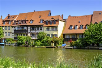 Regnitz with Kleinvenedig, Bamberg, Upper Franconia, Bavaria, Germany, Europe