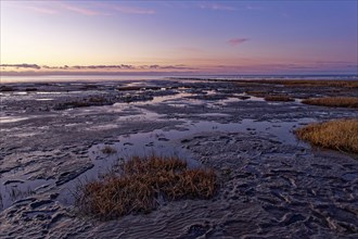 Evening tidal flat landscape shortly after sunset at low tide in the Wadden Sea National Park.