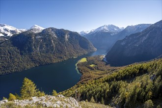 View of the Königssee from the Rinnkendlsteig mountain hiking trail, autumnal forest and