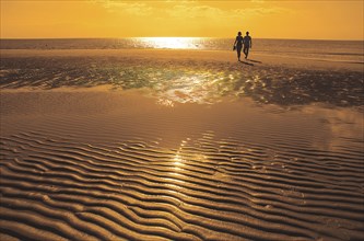 An aar on the beach at sunset in the Wadden Sea, North Sea coast, Lower Saxony, Federal Republic of