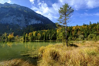 Frillensee near Inzell, Chiemgau, Upper Bavaria, Bavaria, Germany, Europe