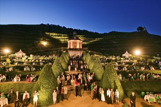 Schloss Wackerbarth or Wackerbarths Ruh' is a baroque castle surrounded by vineyards in the