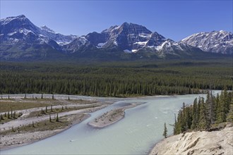 Athabasca River with glacial meltwater carrying rock flour in front of the Rocky Mountains, Jasper