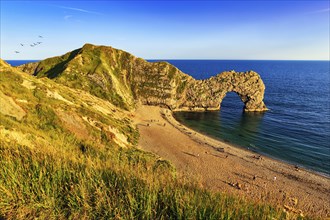 Coastline with bathing beach at Durdle Door, limestone rock bridge, UNESCO World Heritage Site,