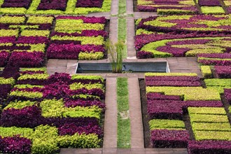 Flowerbeds and plants laid out as samples, Funchal Botanical Garden, Jardim Botanico, Madeira,