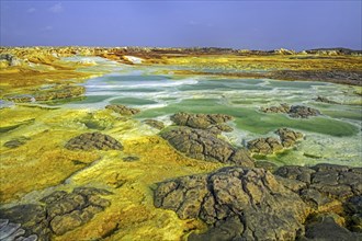 Dallol sulfur springs, hot springs in the Danakil Depression discharge brine and acidic liquid in