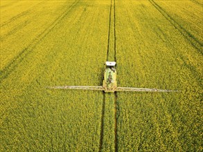 Crop protection products are applied to a rapeseed field on the outskirts of Dresden