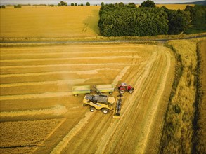 Grain harvest in a field near Babisnau on the outskirts of Dresden