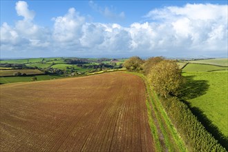 Lights and Shadows over Fields and Farms from a drone, Devon, England, United Kingdom, Europe