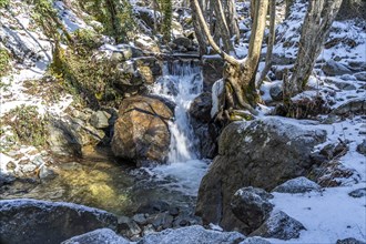 Winter stream to the waterfalls in the Troodos Mountains, Cyprus, Europe