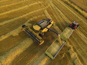 Grain harvest in a field near Babisnau on the outskirts of Dresden