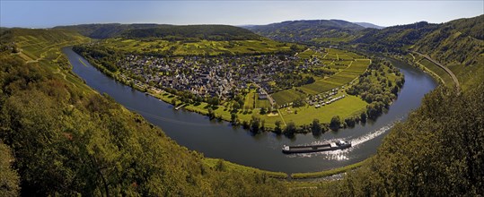 Panoramic view of the meandering Moselle from the Prinzenkopf Tower, Pünderich,