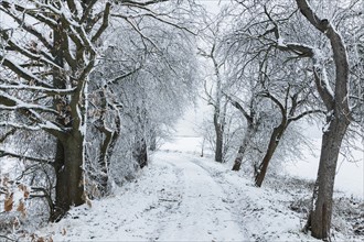 Winter landscapes around Augustusburg in the Ore Mountains