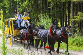 8th stagecoach meeting in Grillenburg