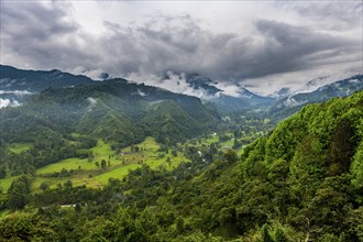 Overlook over the Valle de Cocora, Unesco site coffee cultural landscape, Salento, Colombia, South