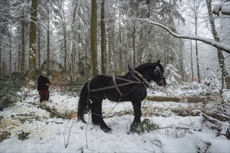 Winter in the Ore Mountains