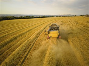 Grain harvest in a field near Babisnau on the outskirts of Dresden