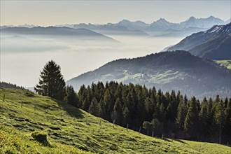 View from the Gurnigel Pass over the sea of fog behind Schreckhorn, Eiger, Mönch, Canton Bern,