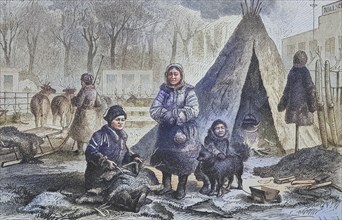 The Samoyeds in the zoological garden in Leipzig, Samoyed people, family with tent as an