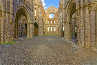 Nave, crossing and choir, church ruins of the Cistercian Abbey of San Galgano, Abbazia San Galgano,