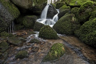 Moss-covered rocks, waterfalls, Geishöll waterfalls, In der Geishöll, near Sasbachwalden, Black