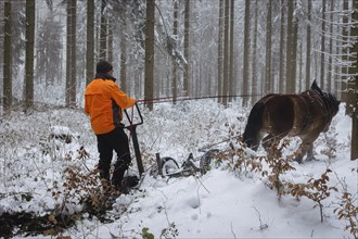 Winter in the Ore Mountains