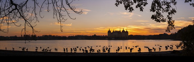 Moritzburg Baroque Palace