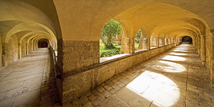 Cloister with view through the cemetery to the Thousand Year Rosebush, Mariendom, Hildesheim, Lower