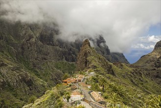 Masca mountain village, Masca Gorge, Barranco de Masca, Teno Mountains, Tenerife, Canary Islands,