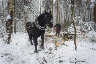 Winter in the Ore Mountains