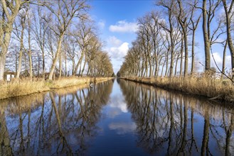 Avenue at the Damme Canal in Damme, West Flanders, Belgium, Europe