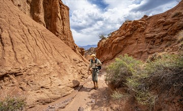 Mountaineer in a canyon with a dry stream bed, eroded mountain landscape with red sandstone rocks,