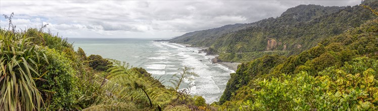 Coast of the Western South Island, between Charleston and Te Miko, New Zealand, Oceania