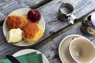 Cornish cream tea in the garden café, speciality, typical afternoon meal, scones, clotted cream,