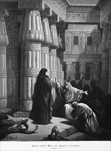 Bible, Pharaoh asks Moses to leave Egypt, First Book of Moses, 12, 31, Moses, Old Testament,