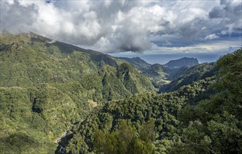 Densely overgrown steep mountains, green mountain landscape, view from the Miradouro dos BalcÃµes,