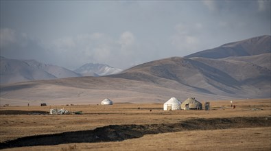 Yurts at Song Kul in autumn, Moldo Too Mountains, Naryn region, Kyrgyzstan, Asia