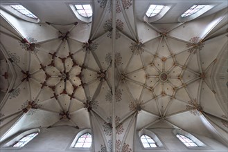 Ceiling vault of the Basilica Sankt Kastor, Koblenz, Rhineland-Palatinate, Germany, Europe