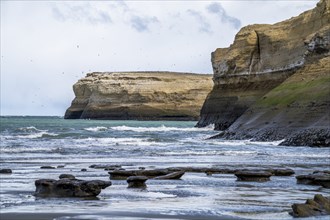 Monte Leon National Park coast line, Monte Leon National Park, Santa Cruz Province, Argentina,