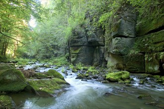 Liebethaler Grund near Lohmen in Saxon Switzerland