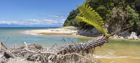 Abel Tasman Coast Track, Apple Tree Bay, Beach, Kaiteriteri, New Zealand, Oceania