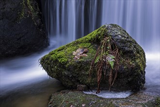 Gertelbach, Gertelbach Waterfalls, Gertelbach Falls, close-up, Gertelbach Gorge, Bühl, Bühlertal,